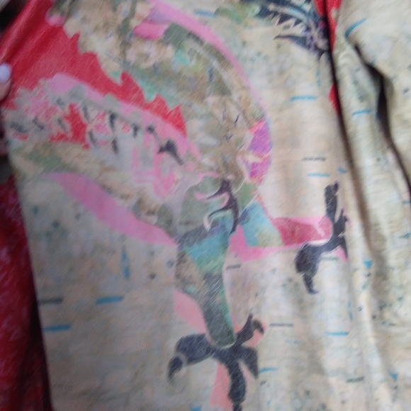 Volt Design Reversible light coat leopard 🐆 & Chinese print - Picture 11 of 12